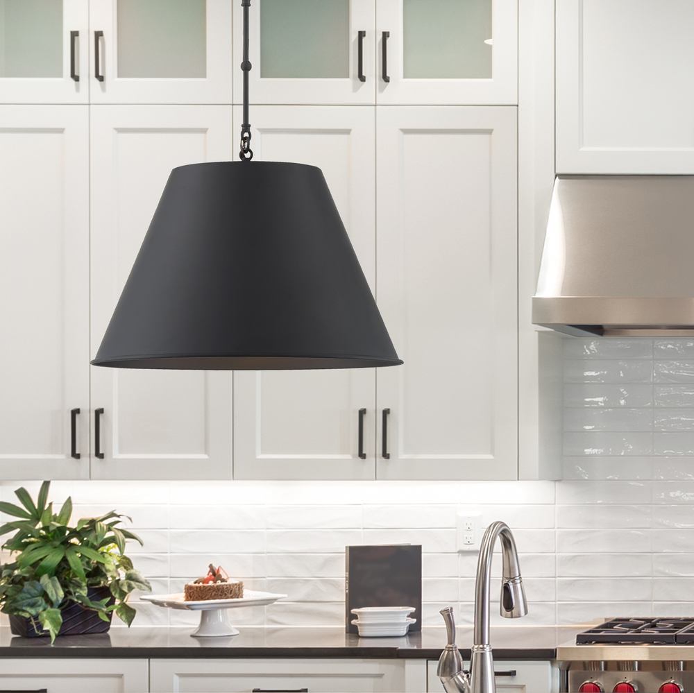 Alden 1-Light Pendant in Matte Black