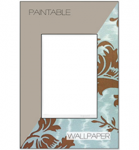 Legrand AWM1G3W4 - adorne Custom One-Gang-Plus Screwless Wall Plate, White Trim
