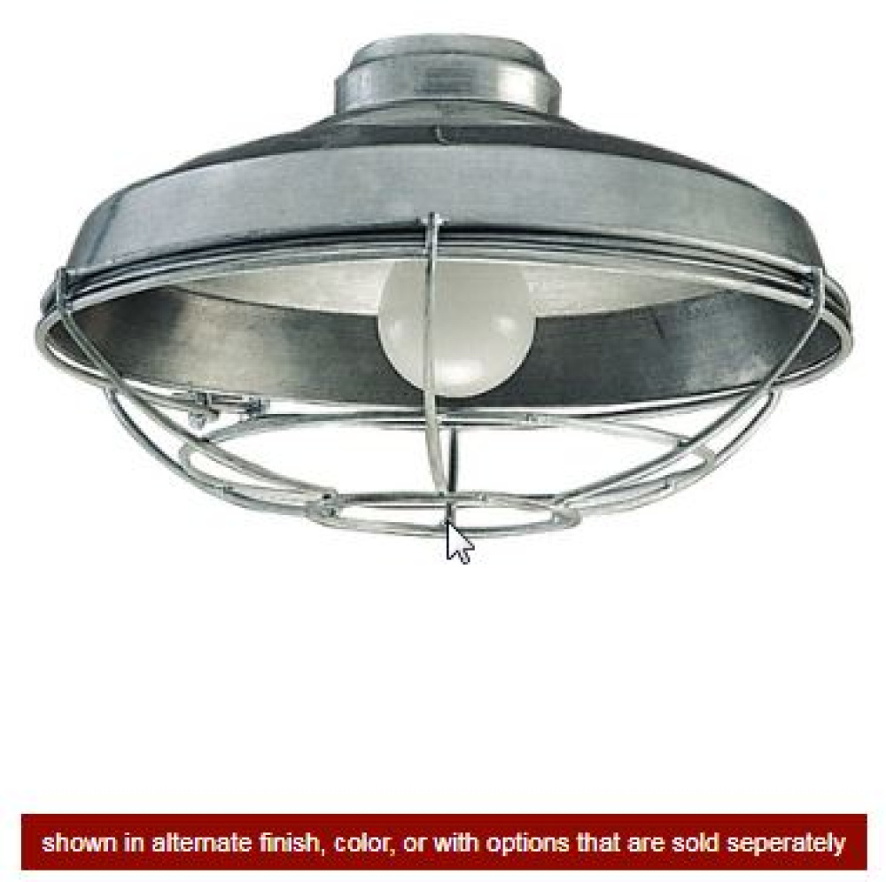 Wire Cage No Glass w/1x 9w LED, Wet Rated