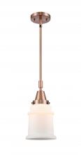 Innovations Lighting 447-1S-AC-G181-LED - Canton - 1 Light - 7 inch - Antique Copper - Mini Pendant
