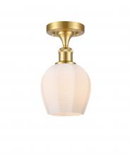 Innovations Lighting 516-1C-SG-G461-6-LED - Norfolk - 1 Light - 6 inch - Satin Gold - Semi-Flush Mount