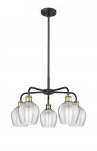 Innovations Lighting 516-5CR-BAB-G462-6 - Norfolk - 5 Light - 24 inch - Black Antique Brass - Chandelier