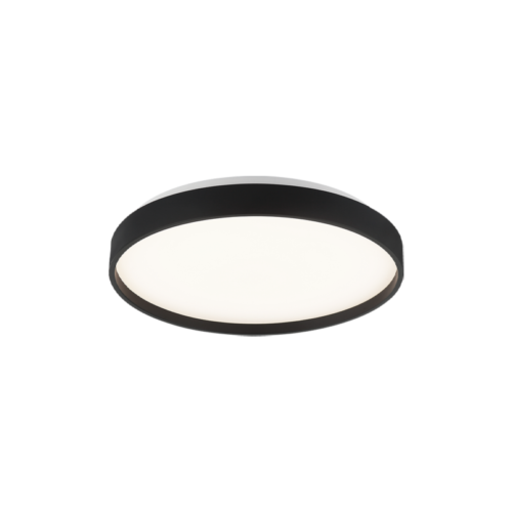 Alexandre Black Ceiling Mount