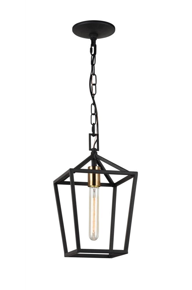 Scatola Rusty Black and Aged Gold Brass Accents Pendant