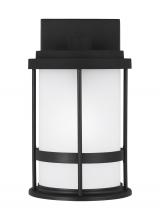Generation Lighting 8590901EN3-12 - Wilburn modern 1-light LED outdoor exterior small wall lantern sconce in black finish with satin etc