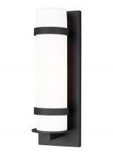 Generation Lighting 8618301EN3-12 - Alban Medium One Light Outdoor Wall Lantern