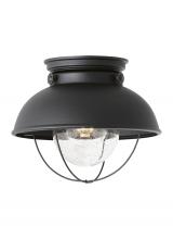 Generation Lighting 8869EN3-12 - Sebring One Light Outdoor Ceiling Flush Mount