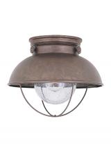 Generation Lighting 8869EN3-44 - Sebring One Light Outdoor Ceiling Flush Mount
