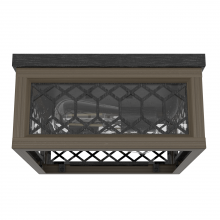 Hunter 19969 - Hunter Chevron Rustic Iron and French Oak with Seeded Glass 2 Light Flush Mount Ceiling Light Fixtur