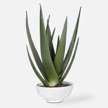 Uttermost 60177 - Uttermost Evarado Aloe Planter