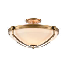 ELK Home 89116/4 - SEMI FLUSH MOUNT